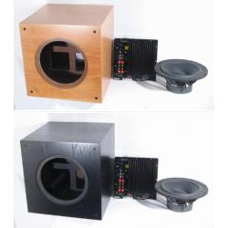 SB Acoustics 10" Powered Subwoofer Kit