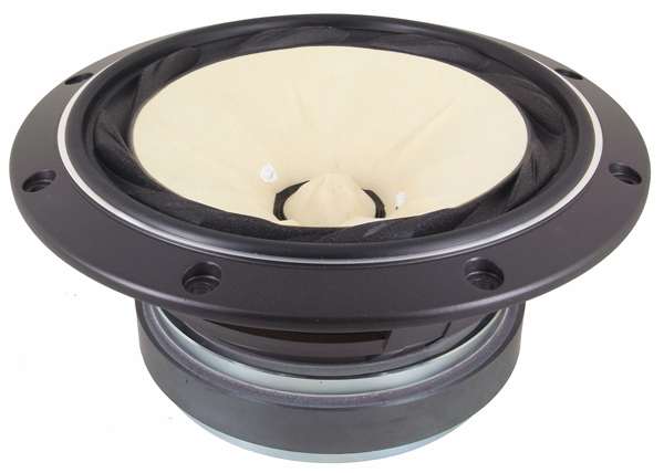 Photo of FE208Ez full range