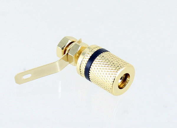 Photo of binding post