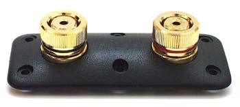 Photo of Yung G25 binding posts on plate