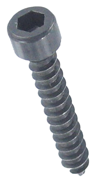 Photo of screw