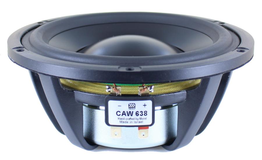 Photo of CAW638 woofer