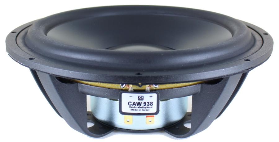 Photo of CAW938 woofer