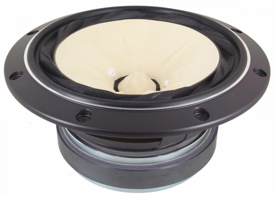 Photo of FE208Ez full range