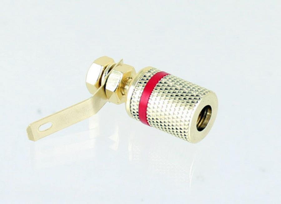 Photo of binding post