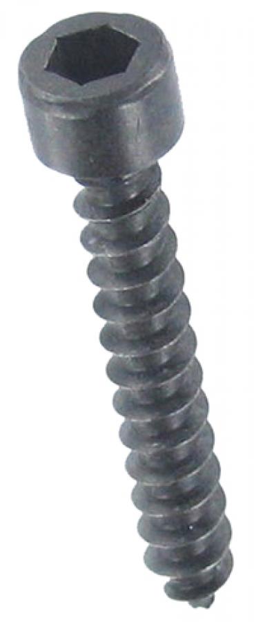 Photo of screw
