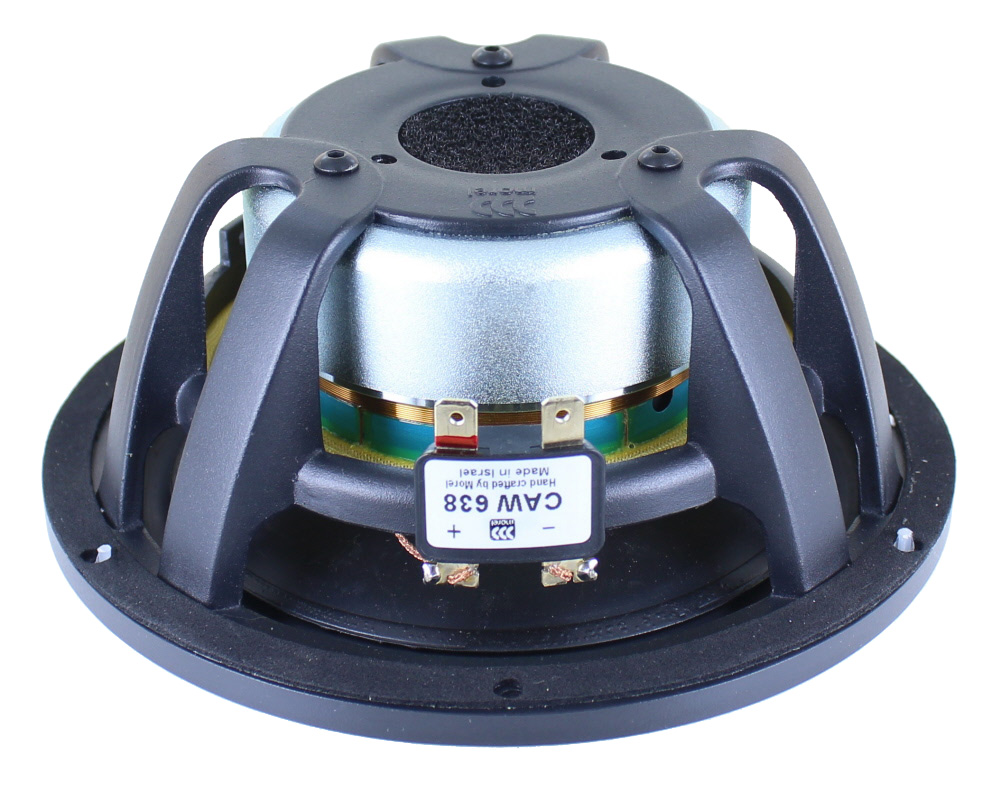 Photo of CAW638 woofer
