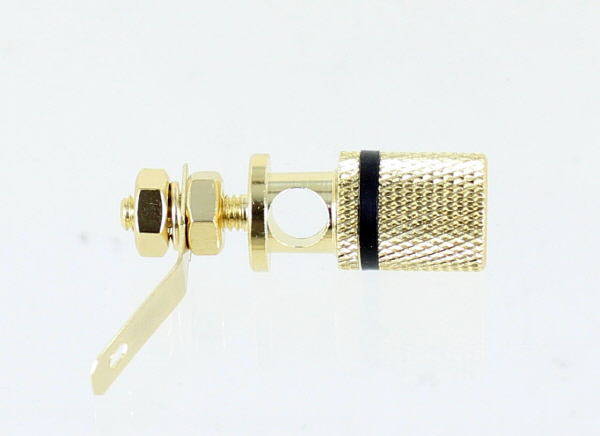 Photo of binding post