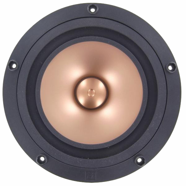 Photo of Pluvia-11 Gold full range front