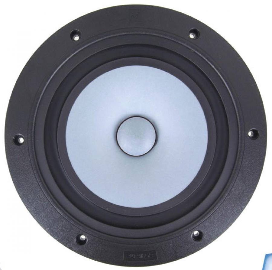 Photo of Alpair 12PW woofer front