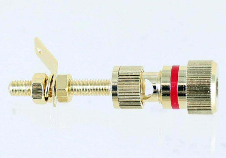 Photo of binding post