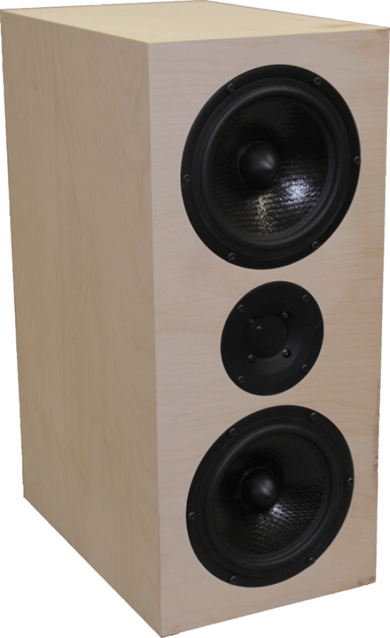 Photo of Seas Bragi speaker kit in Lee Taylor Cabinet