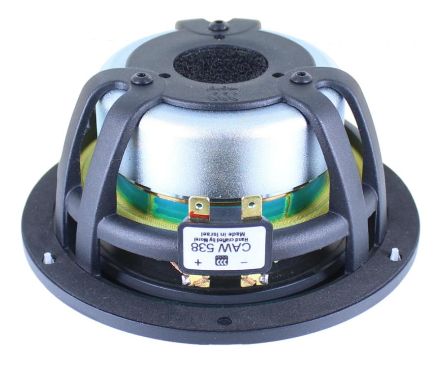 Photo of CAW538 woofer