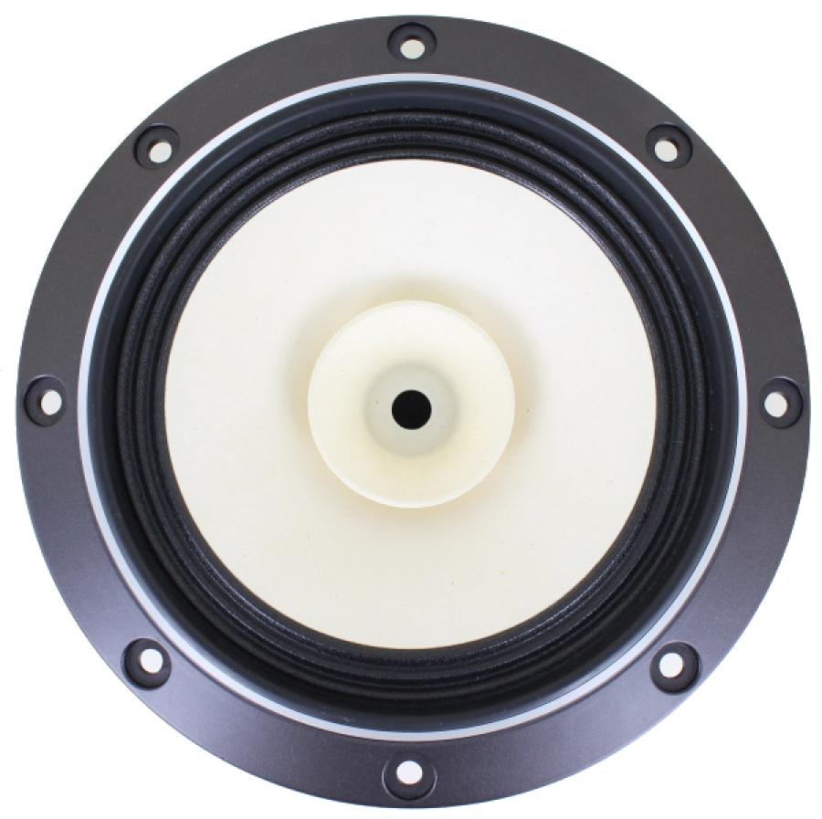 Photo of FE168NS full range front