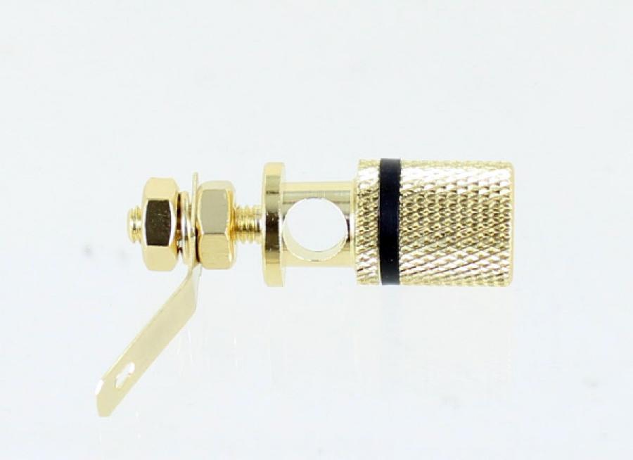 Photo of binding post