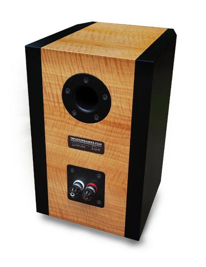 Lumine 2-Way Speaker Kit Assembled Photo