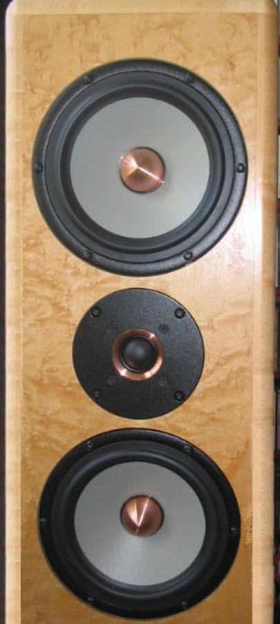 Photo of Seas Thor Speaker Kit Cabinet Front