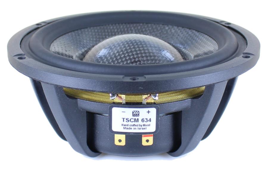 Photo of TSCM634 cone midrange