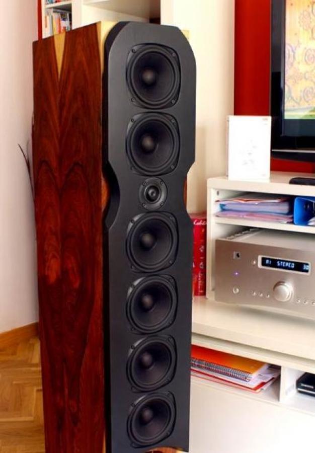 Photo of designer's built speaker kit