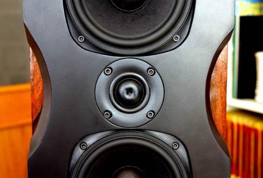 Photo of the front of designer's built speaker kit