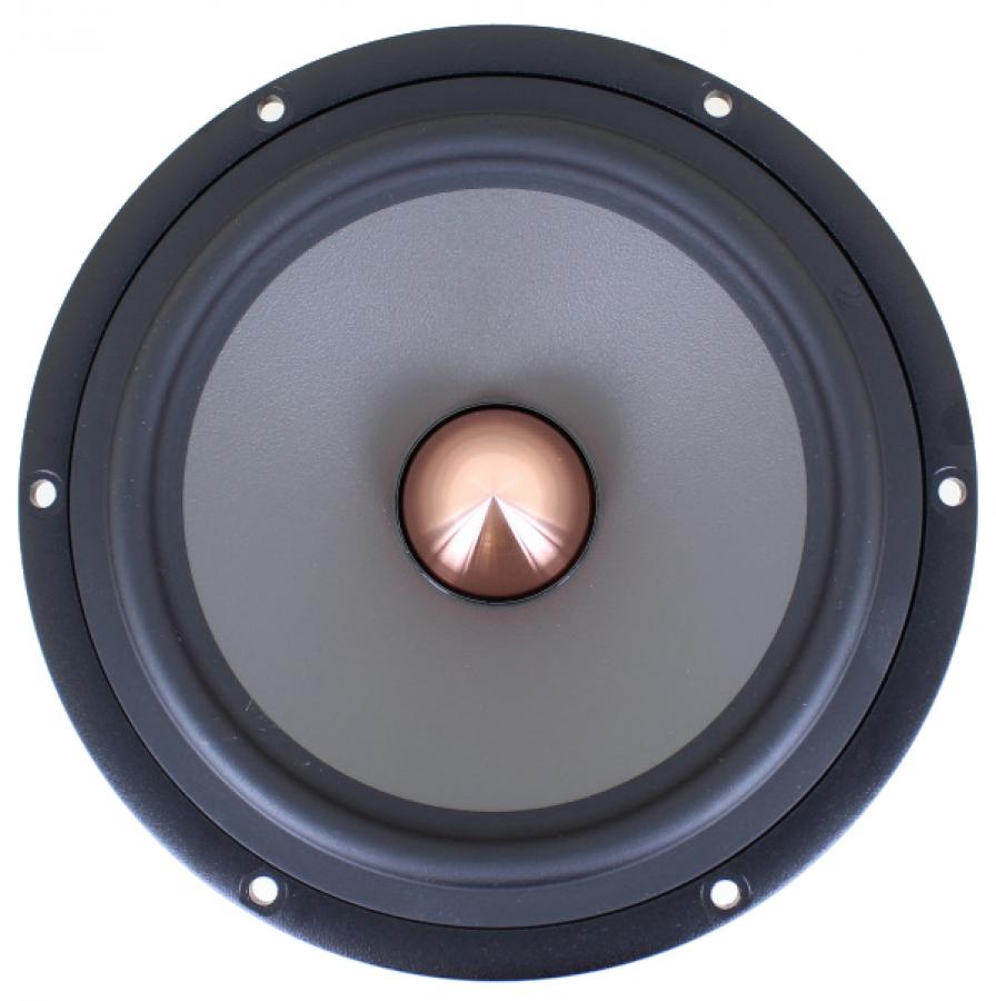 Photo of W18EX-003 woofer front