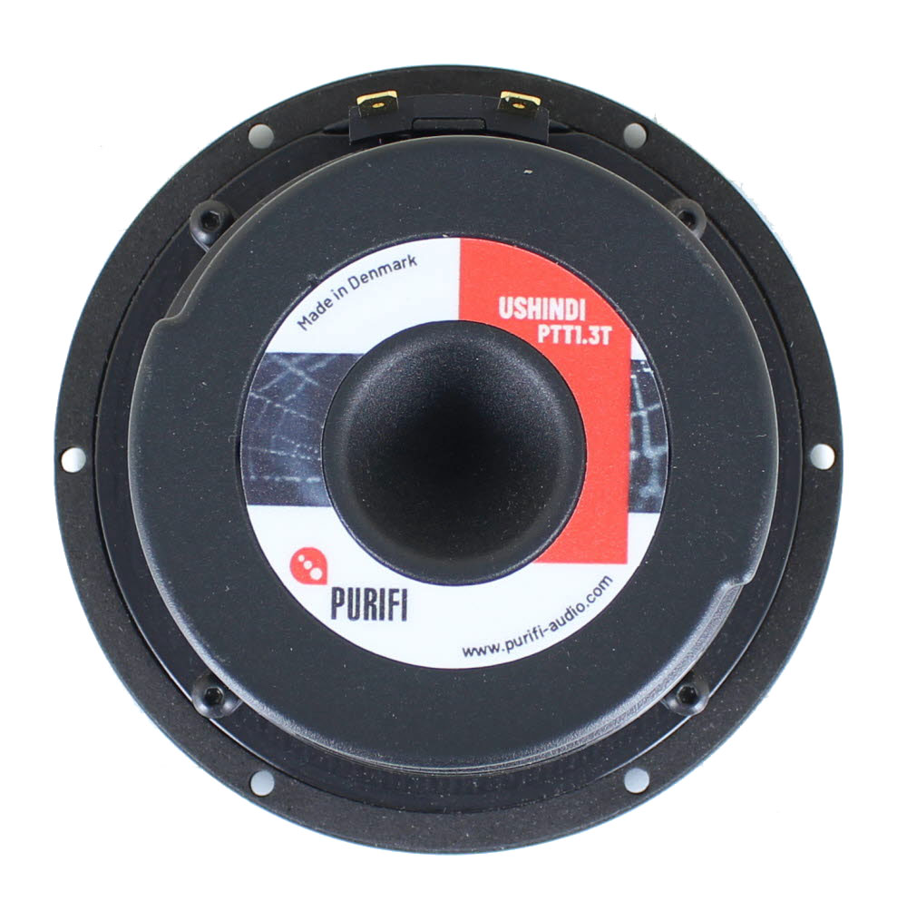 Purifi PTT1.3T04-HAG-001 photo