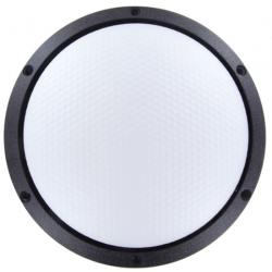 Accuton Cell AS190-9-251 top photo