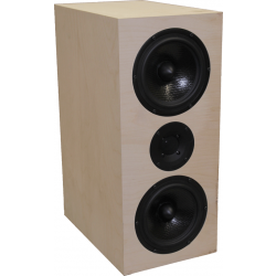 Photo of Seas Bragi speaker kit in Lee Taylor Cabinet