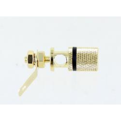 Photo of binding post