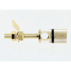 Photo of binding post