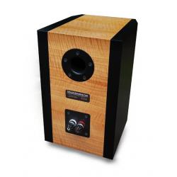 Lumine 2-Way Speaker Kit Assembled Photo