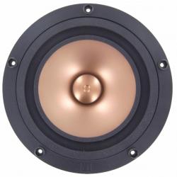 Photo of Pluvia-11 Gold full range front
