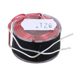 Photo of Air Core Inductor