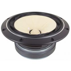 Photo of FE208Ez full range