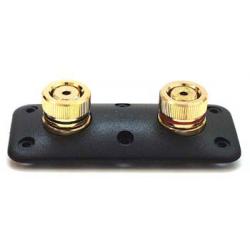 Photo of Yung G25 binding posts on plate