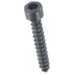 Photo of screw