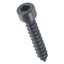 Photo of screw