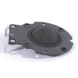 Photo of RW025A2 voice coil