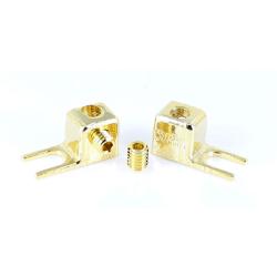 Photo of Supra Forks