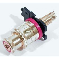 WBT-0702.11-R Polished Gold Plate Topline - Red photo