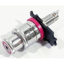 WBT-0702.12-R Polished Platinum Topline - Red photo