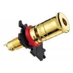 WBT-0730.11-B Topline Polished Gold Plate - Black photo