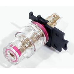 WBT-0735-R Insulated Gold Plate Topline - Red photo