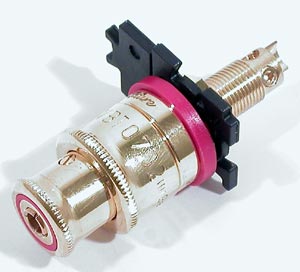 WBT-0702.11-R Polished Gold Plate Topline - Red photo