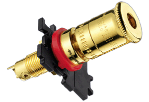 WBT-0730.11-B Topline Polished Gold Plate - Black photo